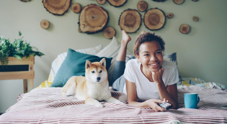 home television setup using iptv streaming service