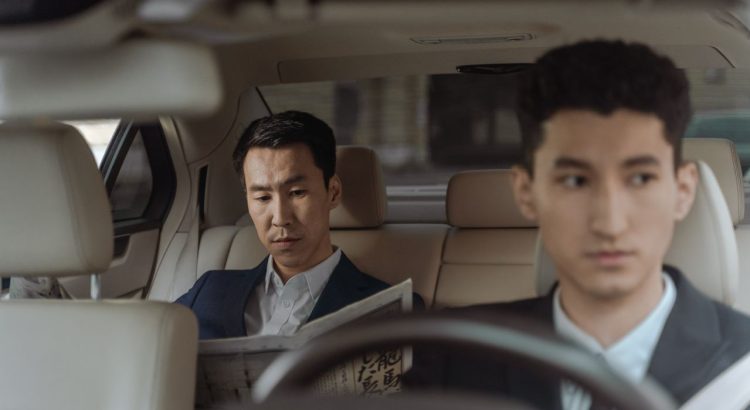 Comfortable long-distance chauffeur travel